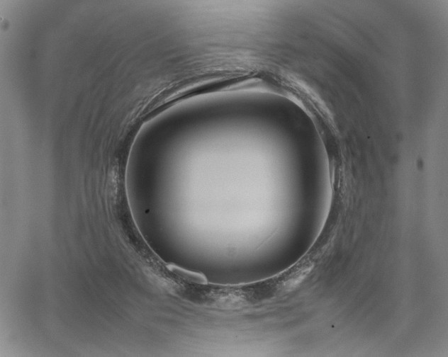 X0000067520113200604071331