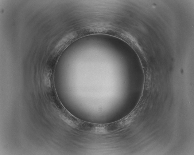 X0000067520114200604071331