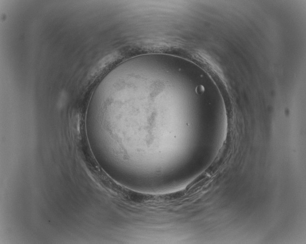 X0000067520115200604071331