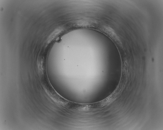 X0000067520116200604071331