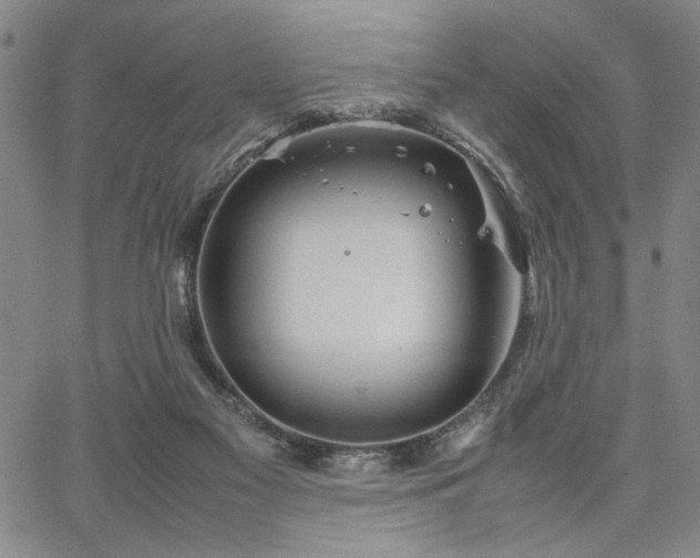 X0000067520117200604071331