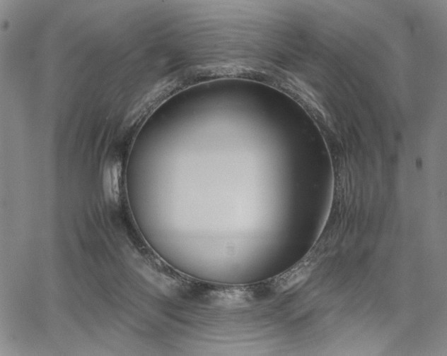 X0000067520118200604071331