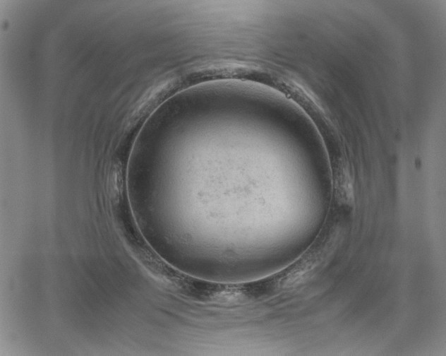 X0000067520119200604071331