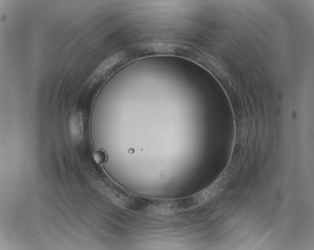 X0000067520120200604071331