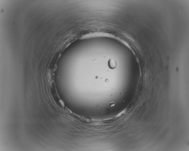 X0000067520121200604071331