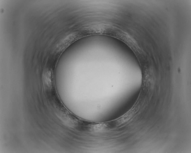 X0000067520122200604071331