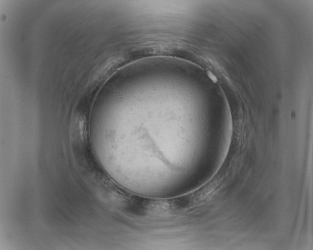 X0000067520123200604071331