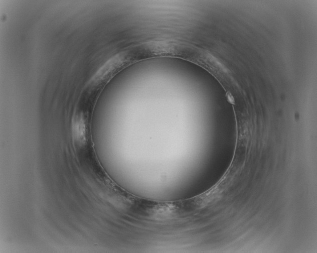 X0000067520124200604071331