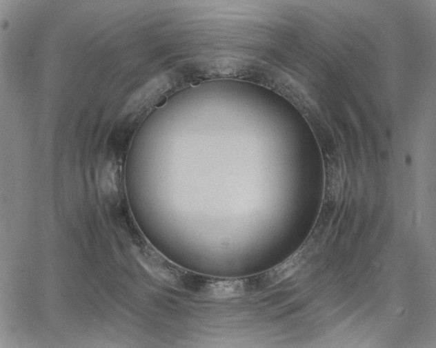 X0000067520126200604071331