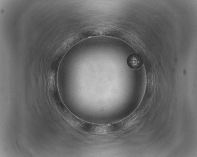 X0000067520127200604071331