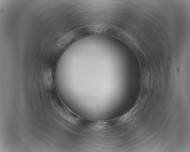 X0000067520128200604071331