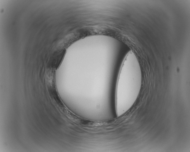 X0000067520129200604071331