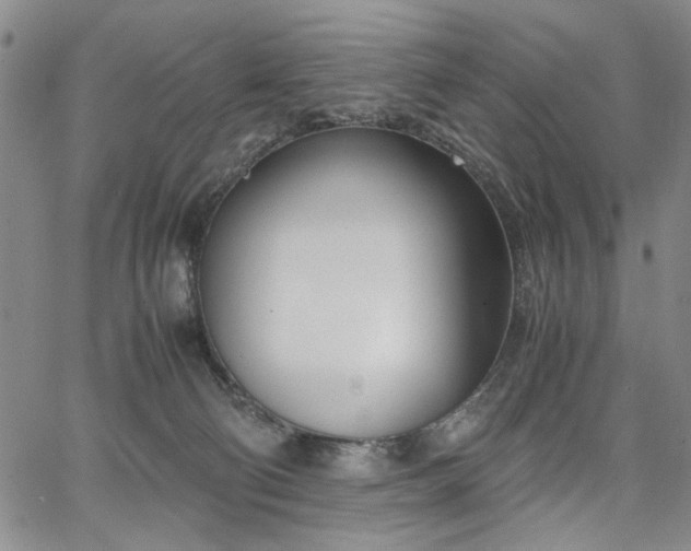 X0000067520130200604071331