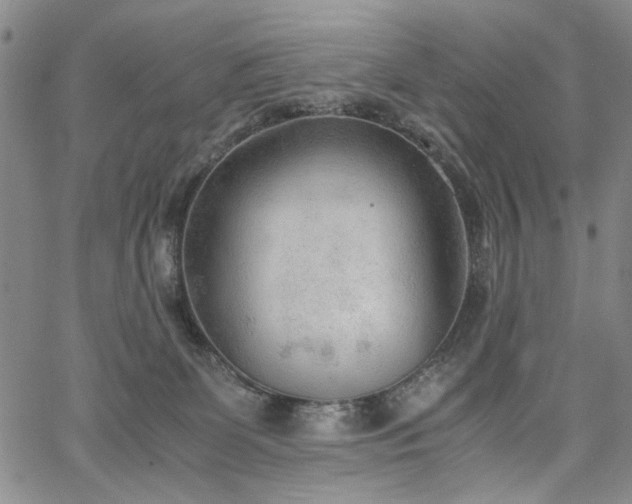 X0000067520131200604071331