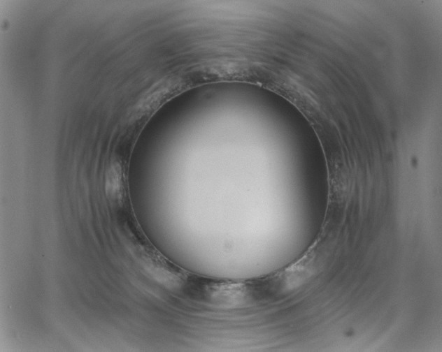 X0000067520132200604071331