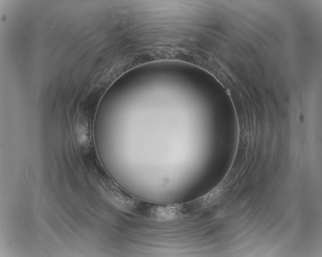 X0000067520134200604071331