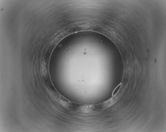 X0000067520136200604071331