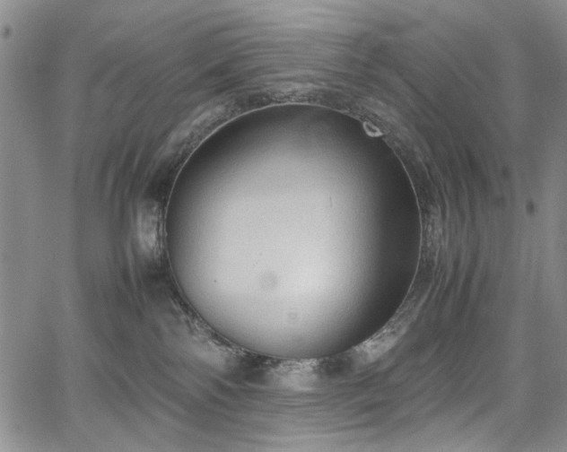 X0000067520138200604071331