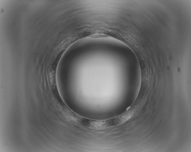 X0000067520139200604071331