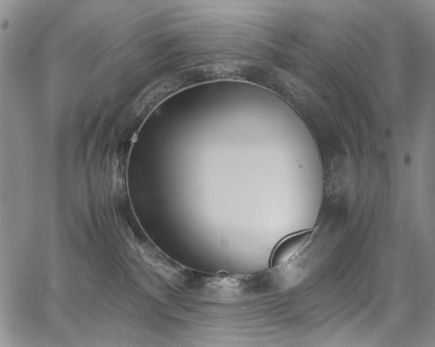 X0000067520140200604071331