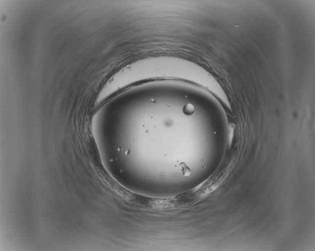 X0000067520141200604071331