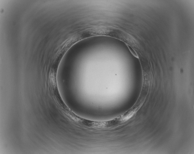 X0000067520143200604071331