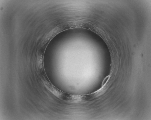 X0000067520144200604071331