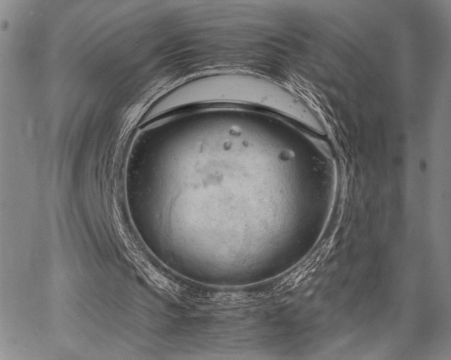 X0000067520145200604071330