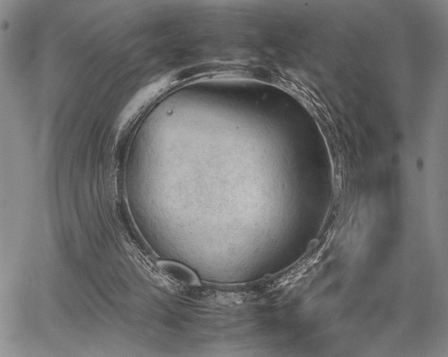 X0000067520149200604071330