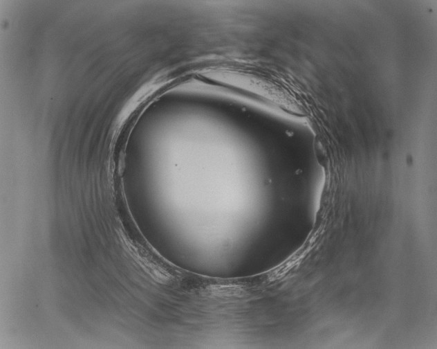 X0000067520150200604071330