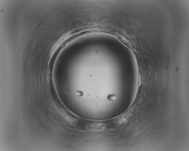 X0000067520152200604071330