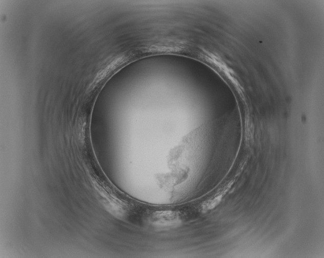 X0000067520153200604071330