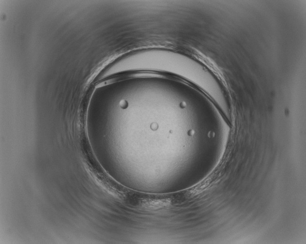 X0000067520155200604071330