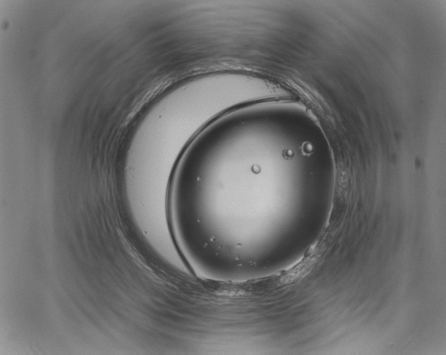 X0000067520158200604071330