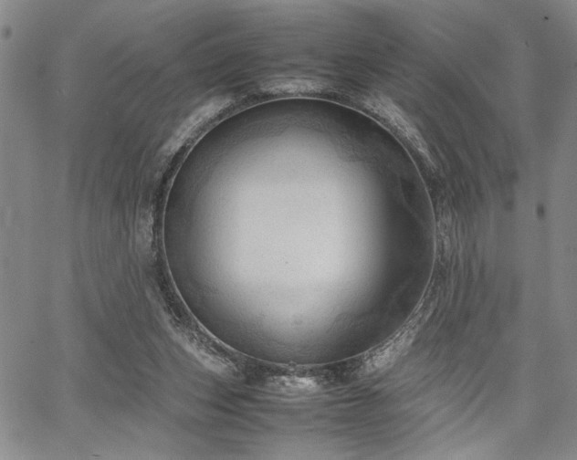 X0000067520159200604071330