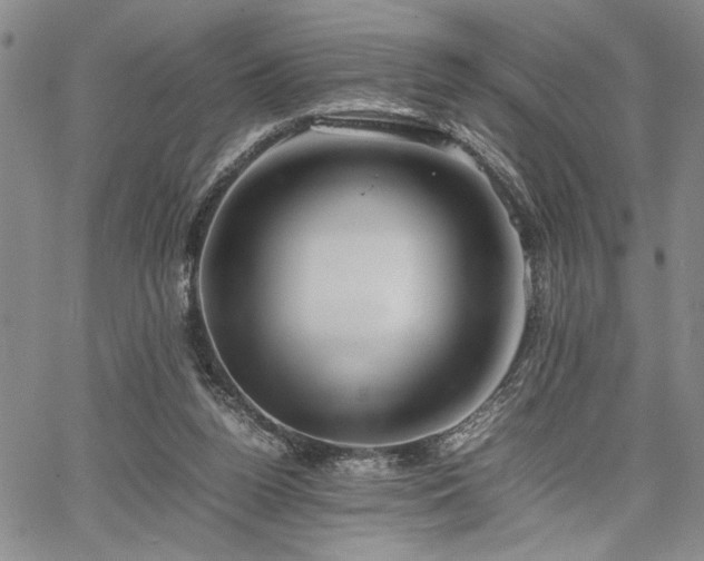 X0000067520160200604071330