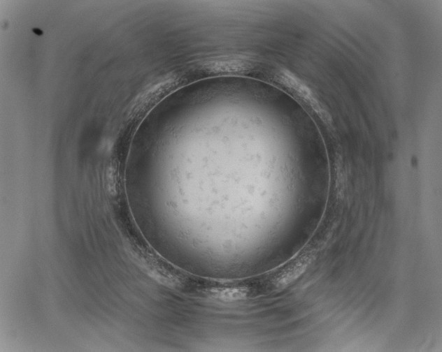 X0000067520161200604071330