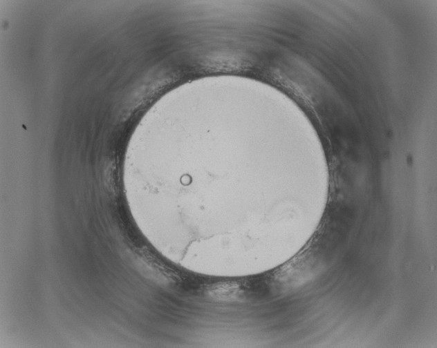 X0000067520162200604071330