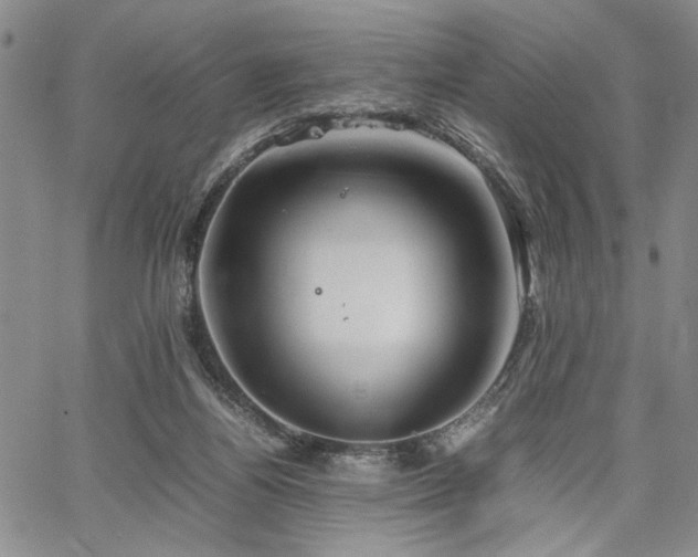 X0000067520164200604071330