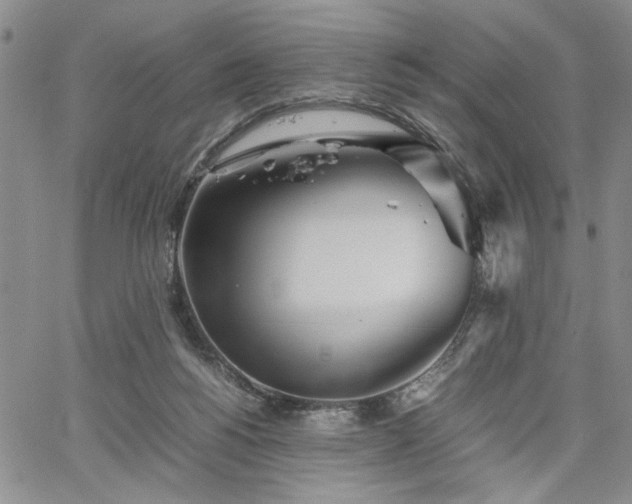 X0000067520168200604071330