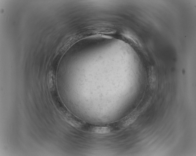 X0000067520169200604071330