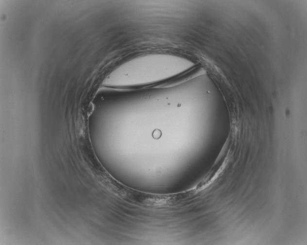 X0000067520170200604071330