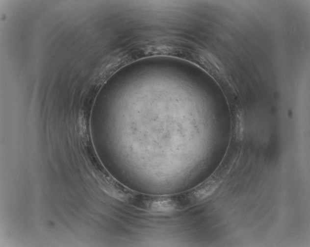 X0000067520173200604071330