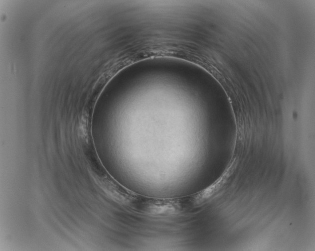 X0000067520175200604071330