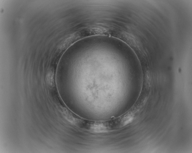 X0000067520177200604071330