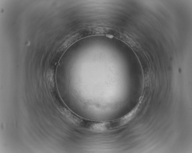 X0000067520178200604071330