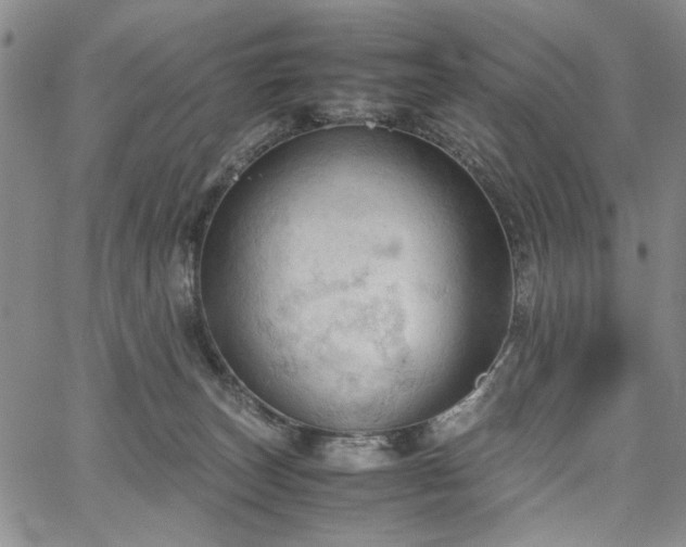 X0000067520179200604071330