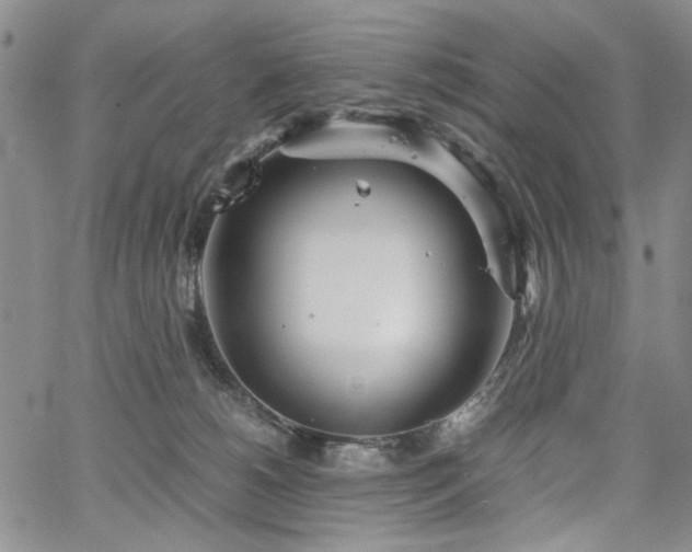 X0000067520180200604071330