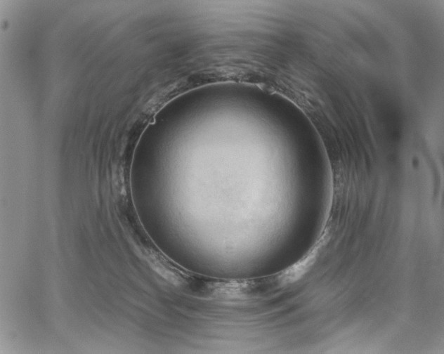 X0000067520182200604071330