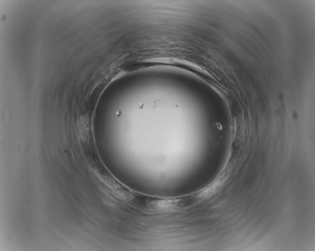 X0000067520184200604071330